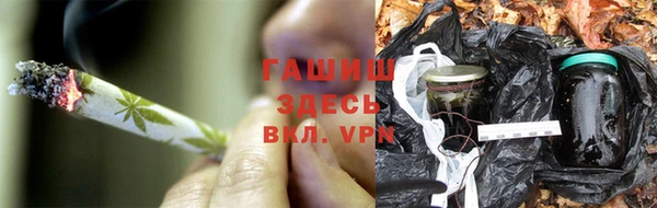 дживик Богородицк
