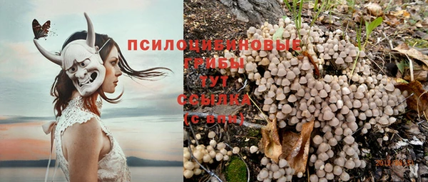 каннабис Богданович