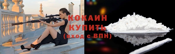 дживик Богородицк