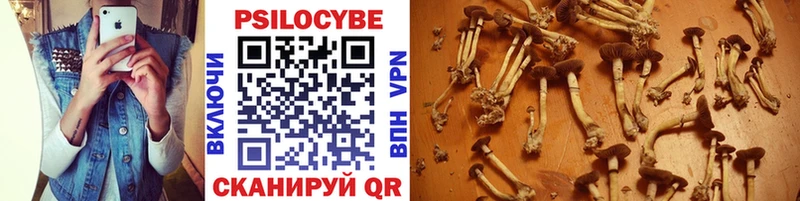 Галлюциногенные грибы GOLDEN TEACHER  Муравленко 